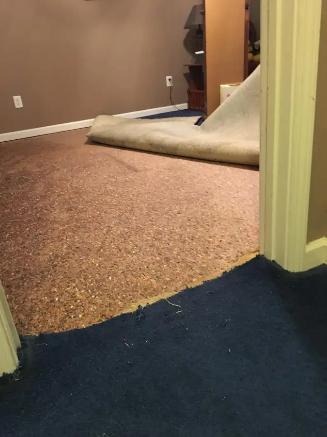 Carpet pad removal revealing water damage during Water Mitigation Services in Hobart