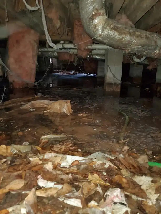 Crawl space flood assessment for Commercial Water Damage Restoration in Hobart